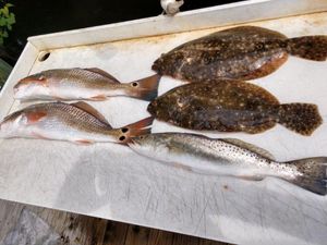 Flounder and Redfish in Crystal River